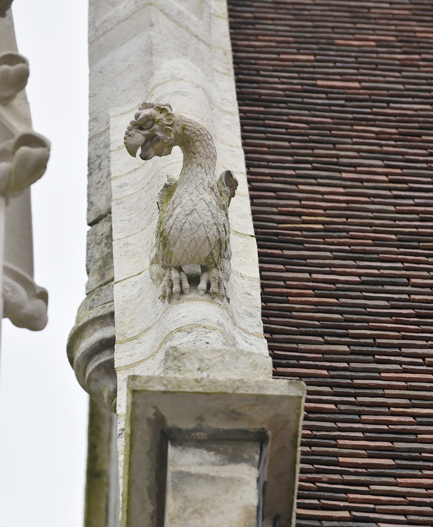 Yonne - Migé